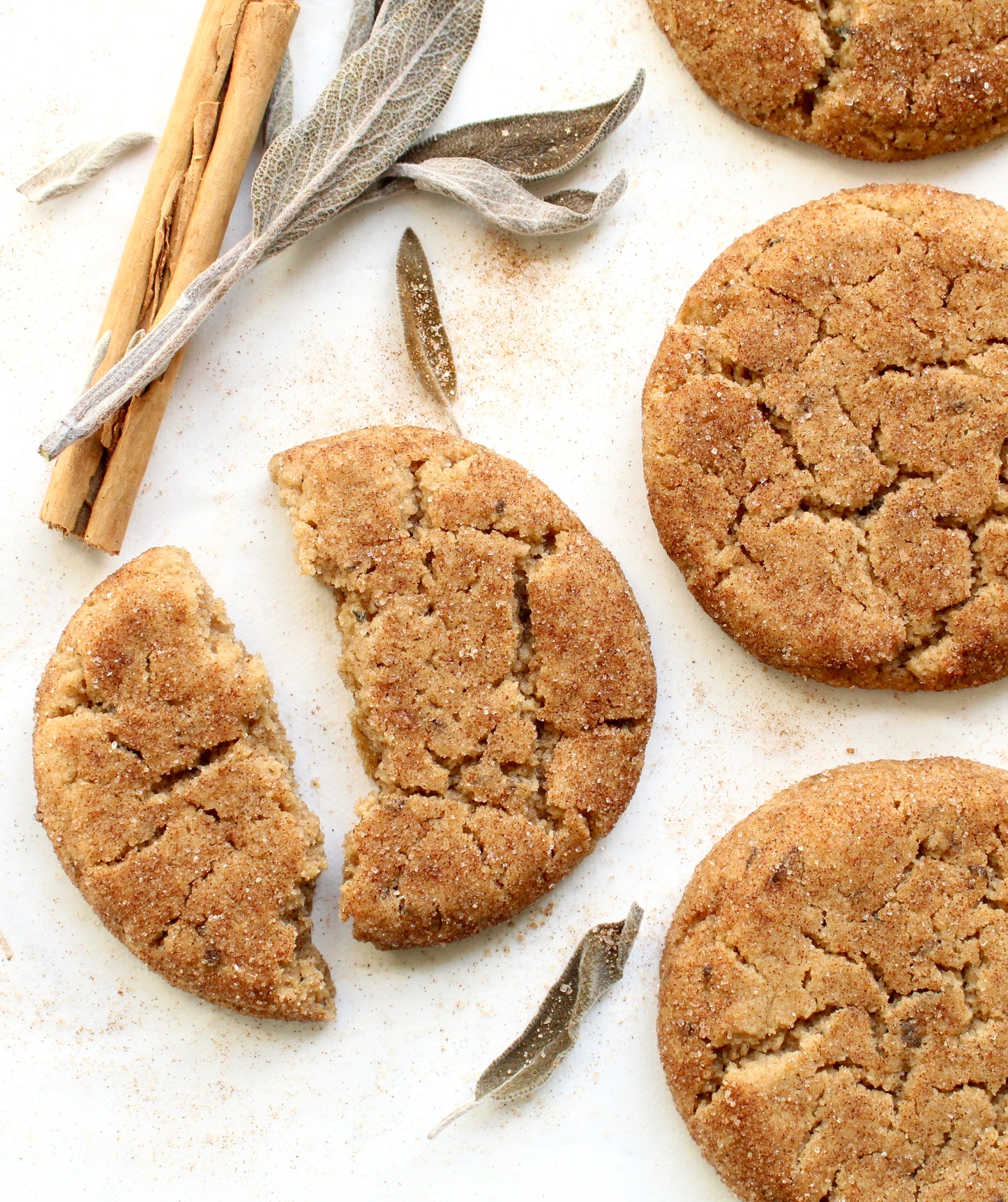 SAGE SNICKERDOODLE