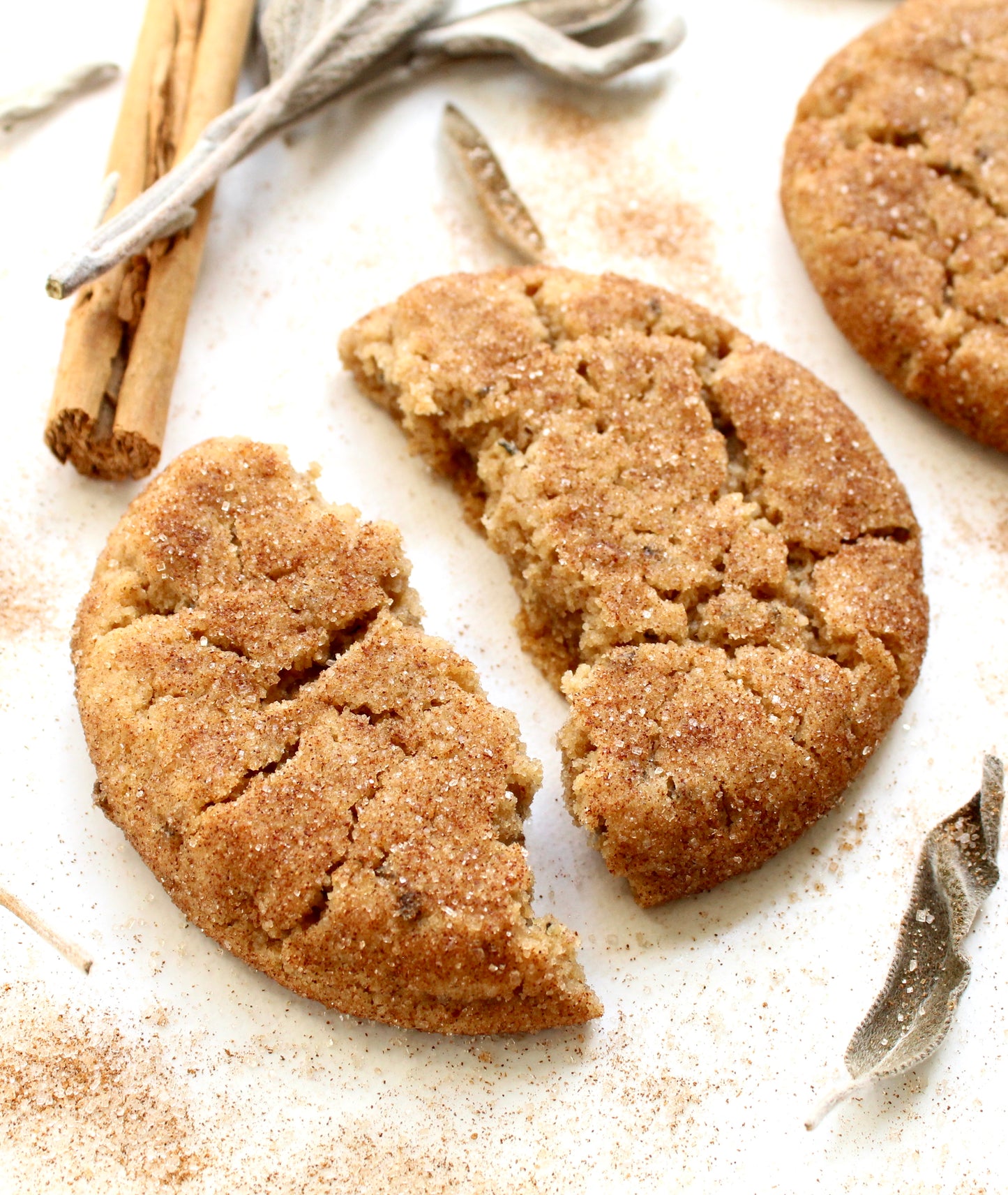 SAGE SNICKERDOODLE