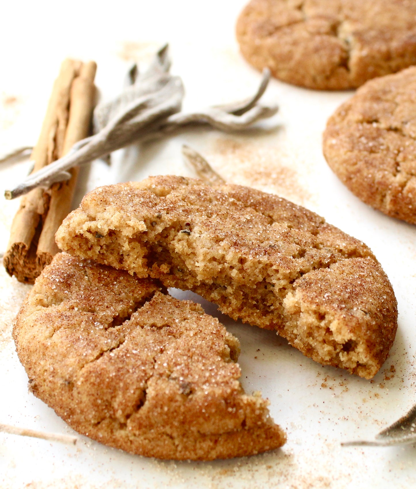 SAGE SNICKERDOODLE